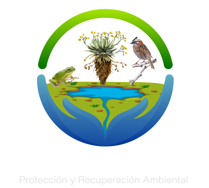 Paramos Agua y Vida